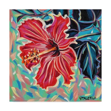Carolee Vitaletti 'Hawaiian Beauty Ii' Canvas Art,14x14